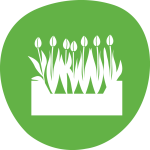 Crate-icon-green Crate-icon-green
